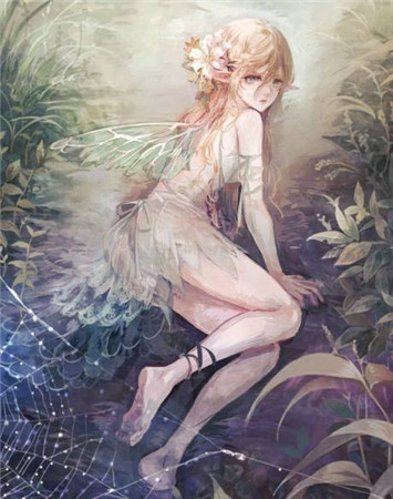 十二星座精灵,十二星座专属梦幻精灵