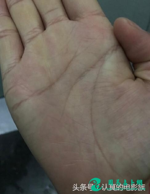 手相"宠爱线,得上天之宠,命中遇大贵人,得财千万