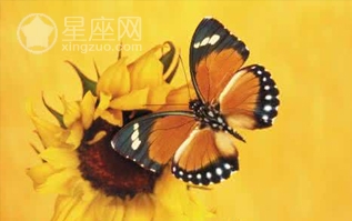 姨夫托梦给别人:让她别敲了