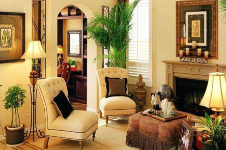 客厅适合养什么花和植物好风水，客厅最旺宅的大型植物
