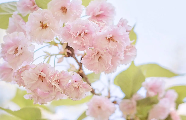 天蝎座的女人什么性格，天蝎座女生性格脾气