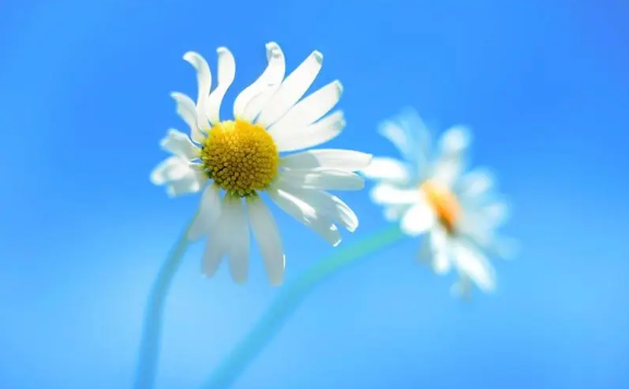 相处越久越爱你的星座男，老婆要离婚态度很坚决该怎么挽回