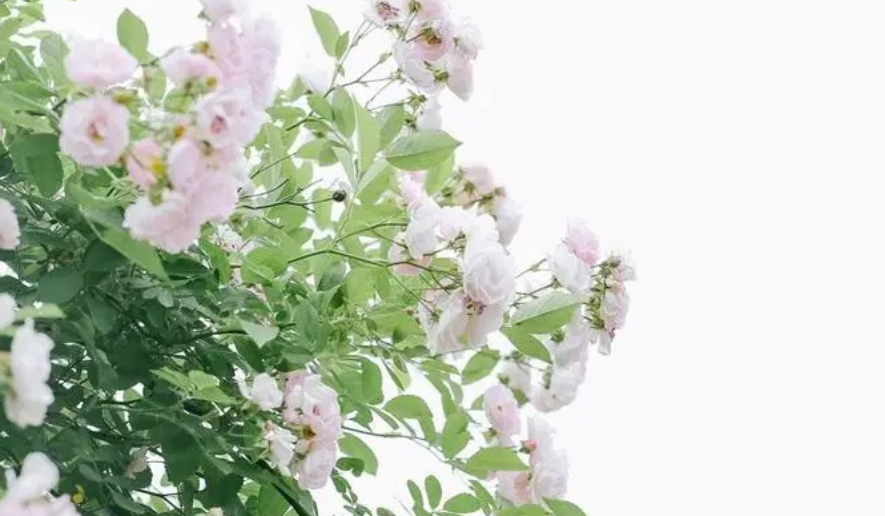 最有钱的4个出生日尾数，大富大贵的三个数字