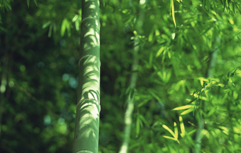 九型人格哪一个最聪明，九型人格最稀有的人格