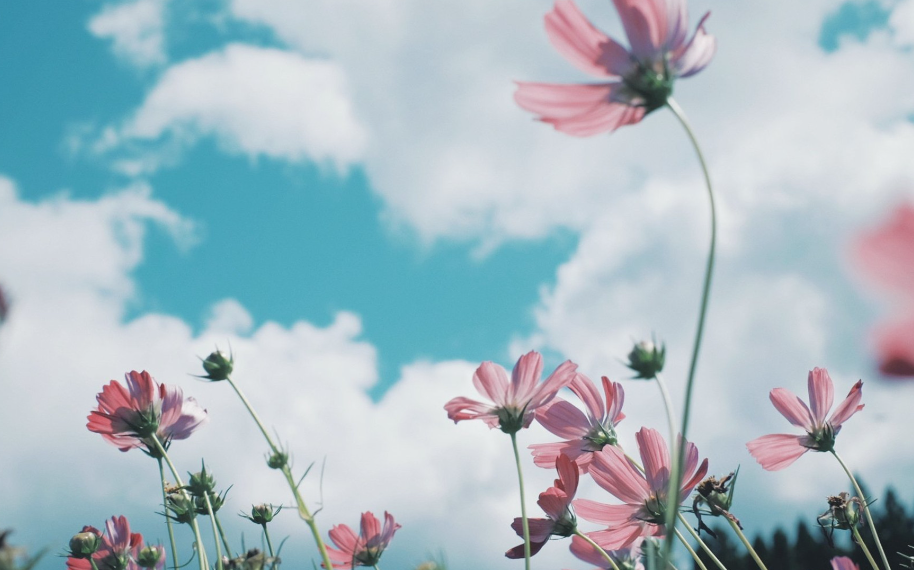 正缘孽缘第一次见都有预兆吗，两个人是孽缘的征兆