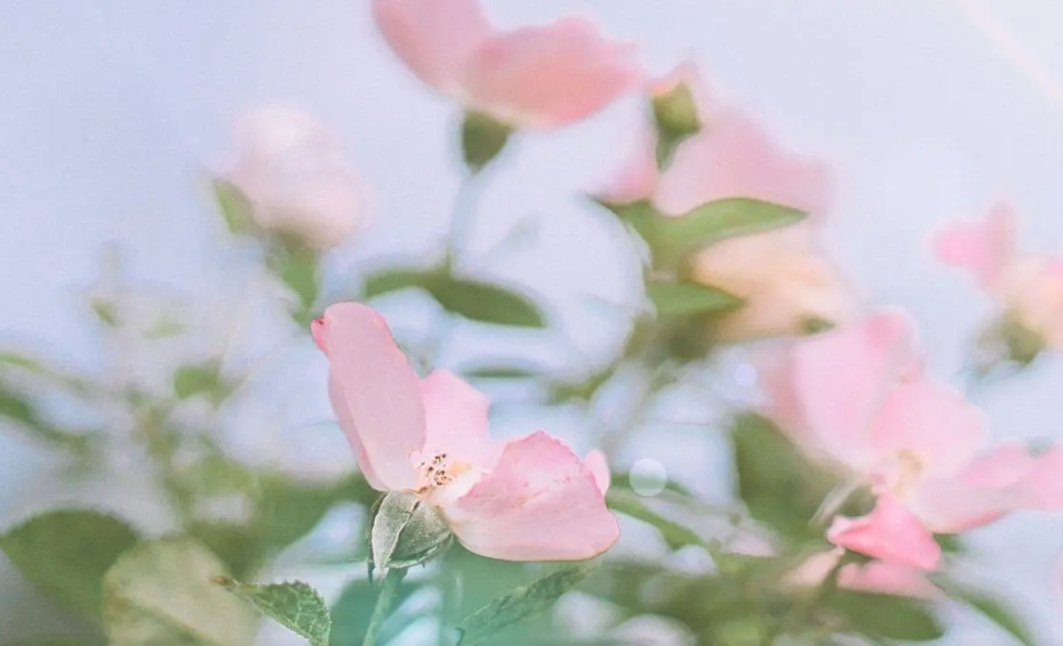 高僧说人在转运前的四个征兆，女人巨大财运来临的预兆