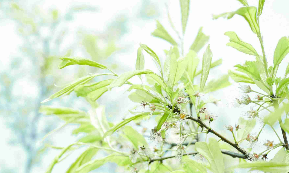 大富大贵的2种命格，罕见的五大贵人命格