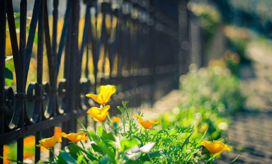 2023年8月15日天秤座运势，天秤座今日运势