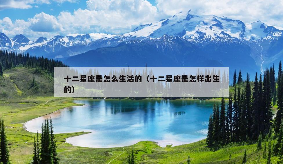 十二星座是怎么生活的(十二星座是怎样出生的)