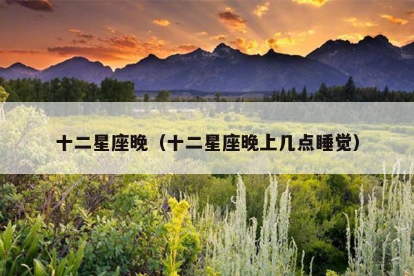 十二星座晚(十二星座晚上几点睡觉)