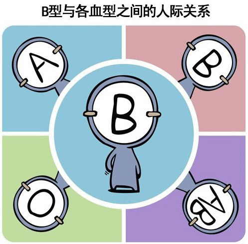 b型血与各血型之间的人际关系