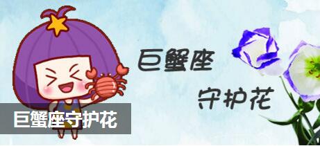 巨蟹座守护花