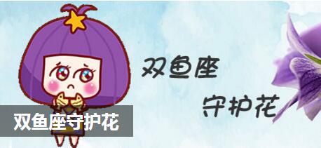 双鱼座守护花