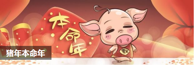 猪年本命年