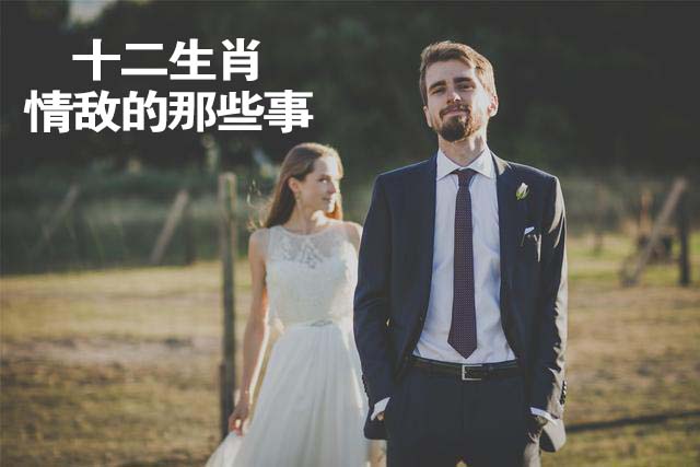 十二生肖情敌的那些事