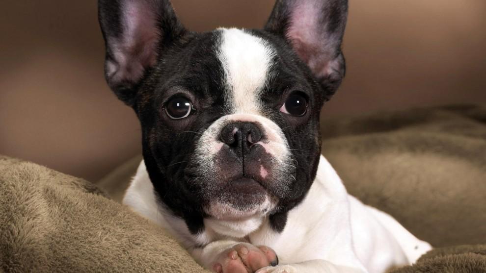 月亮的位置与母亲