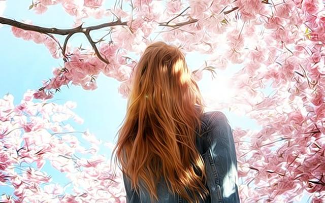 太阳落在十二宫位