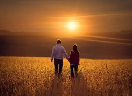 2022年十二生肖婚姻运