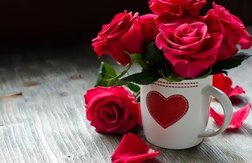 处女座2023年运势完整版全年运势查询