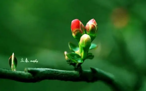 立春是2023的几月几日，2023年有两个立春吗