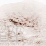 风水大师看阴宅的要点是什么