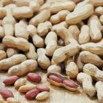 梦见田里捡花生