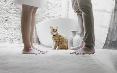 33.jpg 星座相位是什么意思?看完你也是占星师!