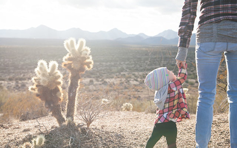 天顶2.jpg 天顶2.jpg