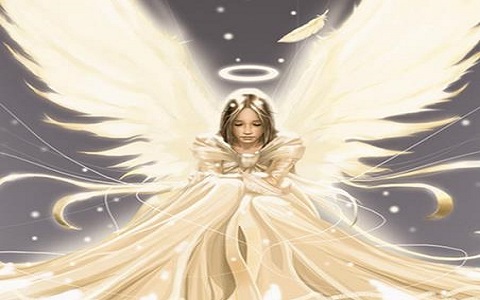 天使.jpg 天使.jpg