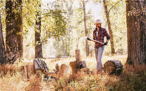 梦到砍柴是什么意思预示着要有好运出现