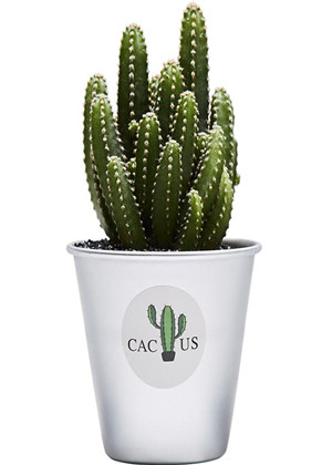 常见的尖角煞如何化解这样做才能有好运