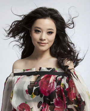 歌手钟丽燕钟丽燕图片钟丽燕个人资料