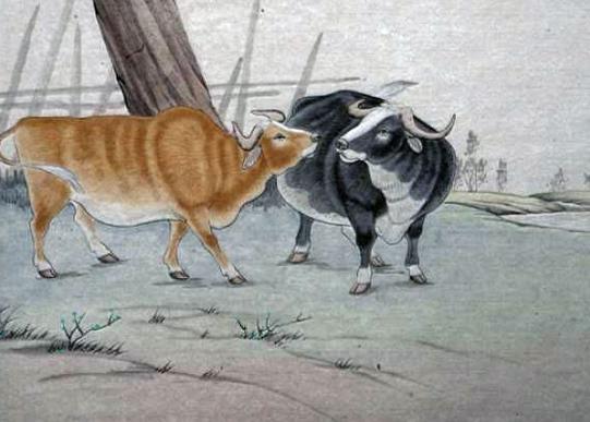 1997年出生是什么年