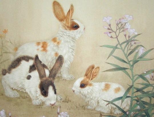 O型血属兔人的性格优点和缺点