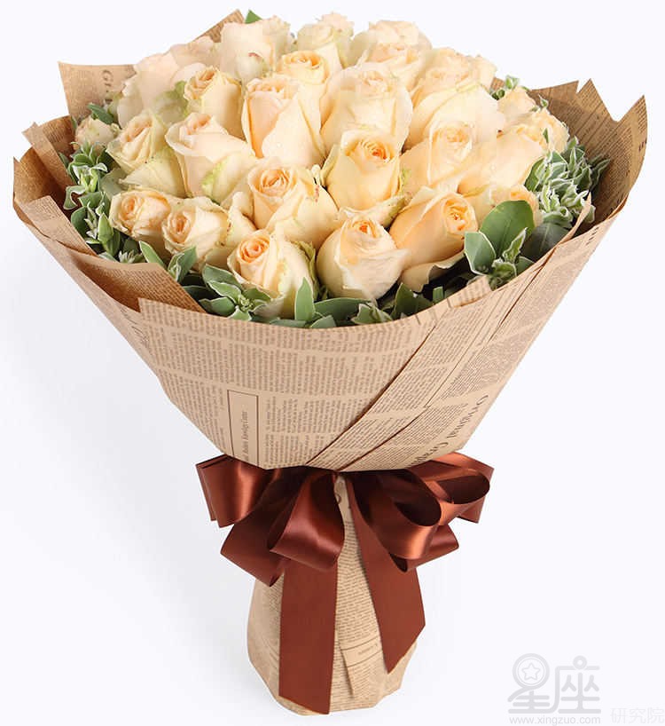 香槟玫瑰代表什么?