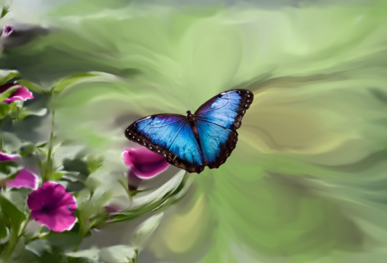 看星盘时常问的问题,值得问的问题