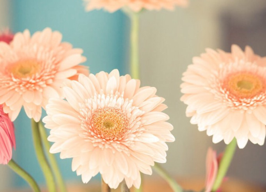 怎么从星盘看正缘出现时间,正缘出现的五个特征