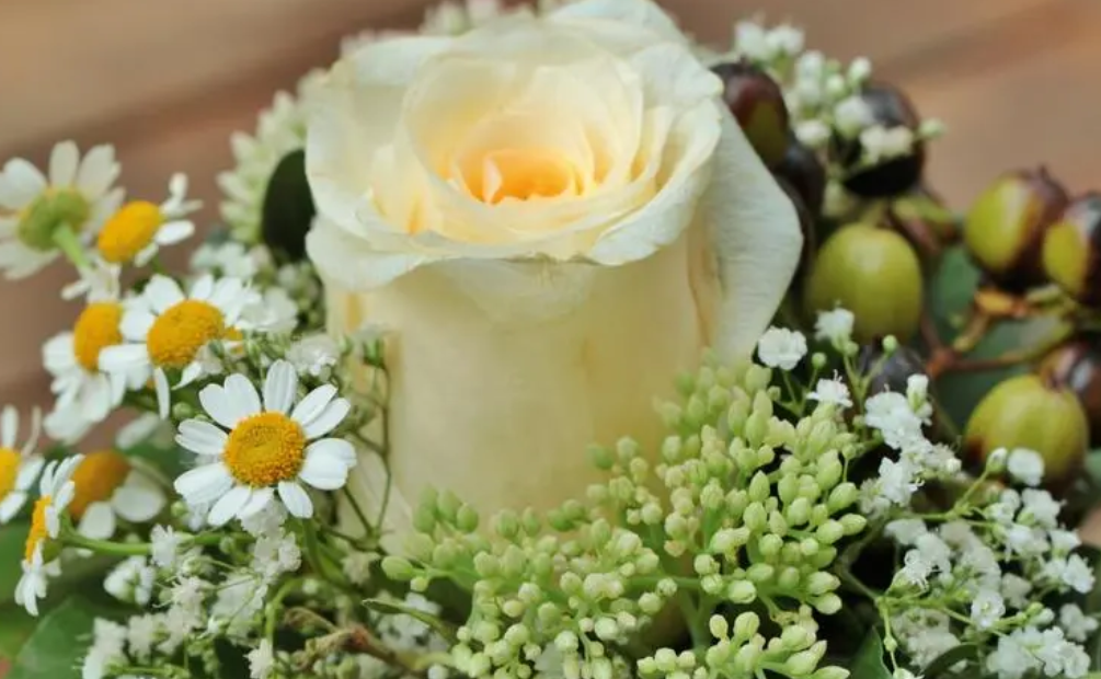 最深藏不露的高手星座,低调能一鸣惊人的星座