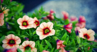 床头放什么防止做噩梦，3种人容易做噩梦