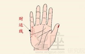 财运线的数目及形状有哪些说法,财运线数目及形状的影响