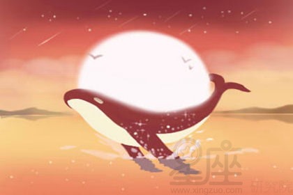 戏剧文化解析:川剧的由来是怎样的