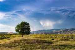 五行缺什么名字就要补什么吗