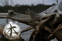 文职工作五行属什么 属木的行业有哪些