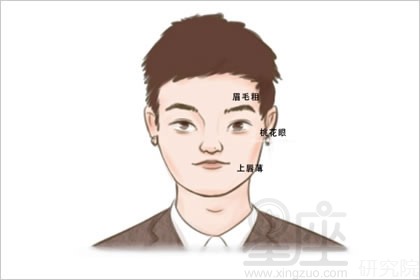 没有眉峰的女人面相 注重心灵头脑理性