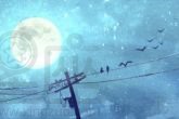 2023年兔年几两几钱 2023年出生的属兔人命运