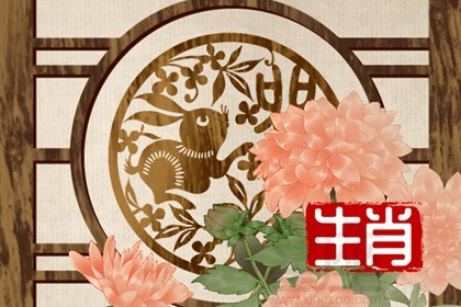 2023年出生的生肖 属兔的人命运怎么样