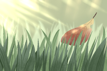 处暑吃什么水果最好 最解暑