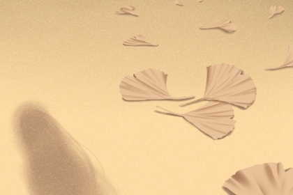 梅花易数怎么解卦 梅花易数如何读卦 梅花易数怎么解卦 梅花易数如何读卦