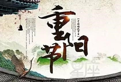 重阳节喝什么茶?重阳节喝茶有什么好处?