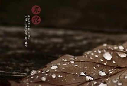 寒露为什么吃芝麻?寒露吃芝麻有什么好处?